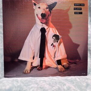 Working Class Dog Vinyl Record by Rick Springfield